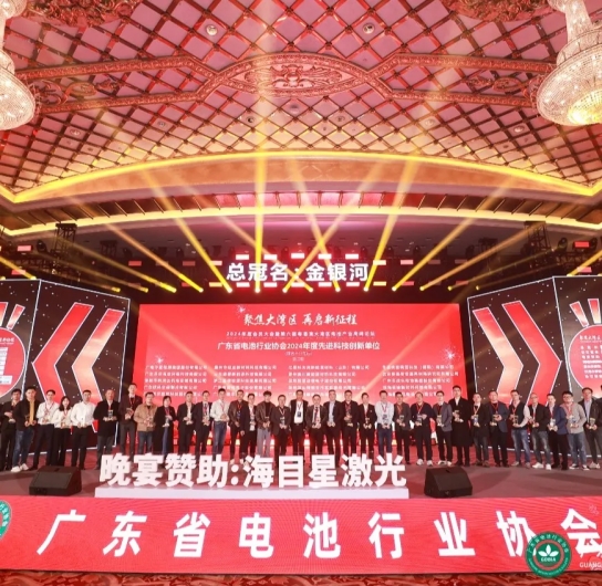 德尔智慧荣获“2024年度先进科技创新单位”称号